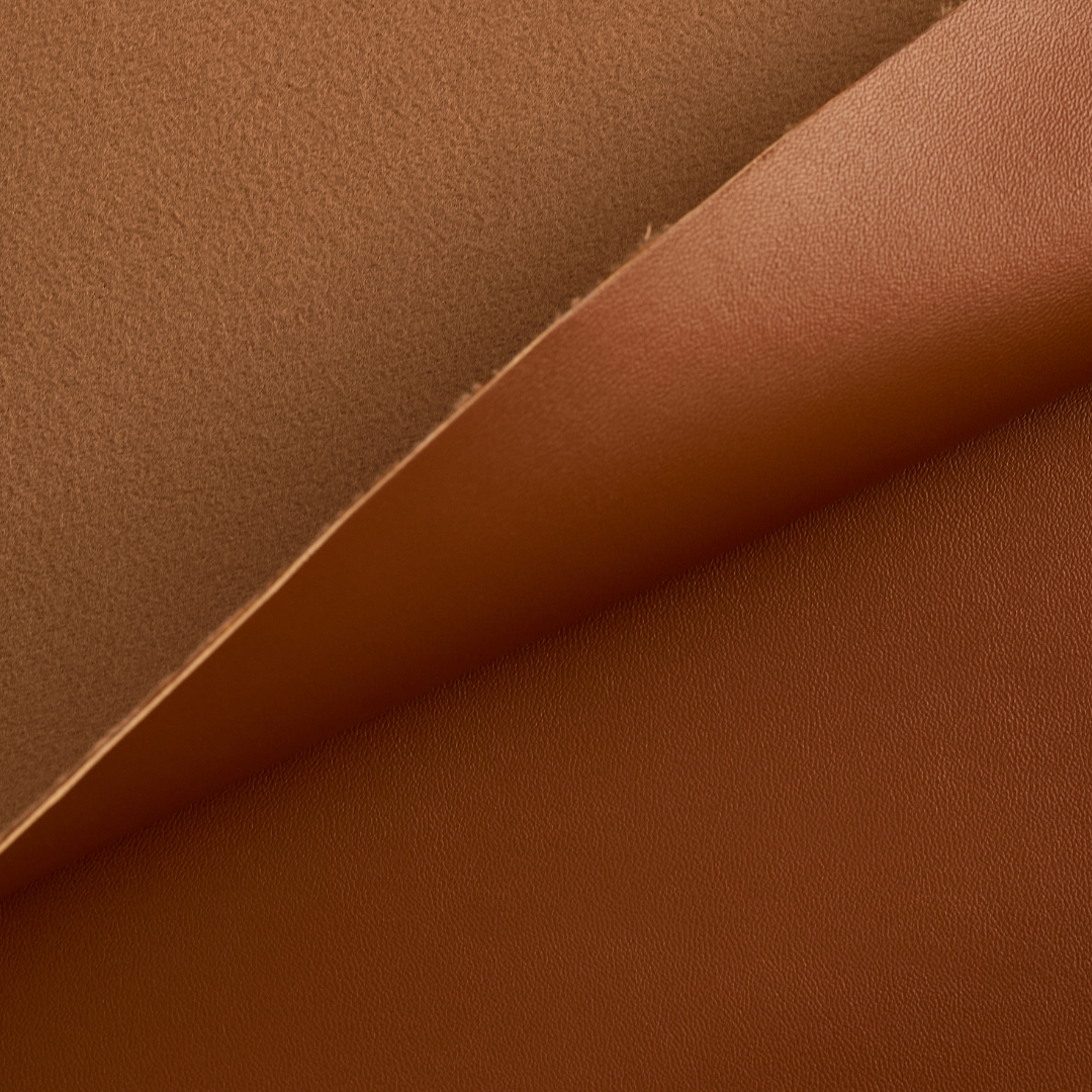 Copy_of_2.png