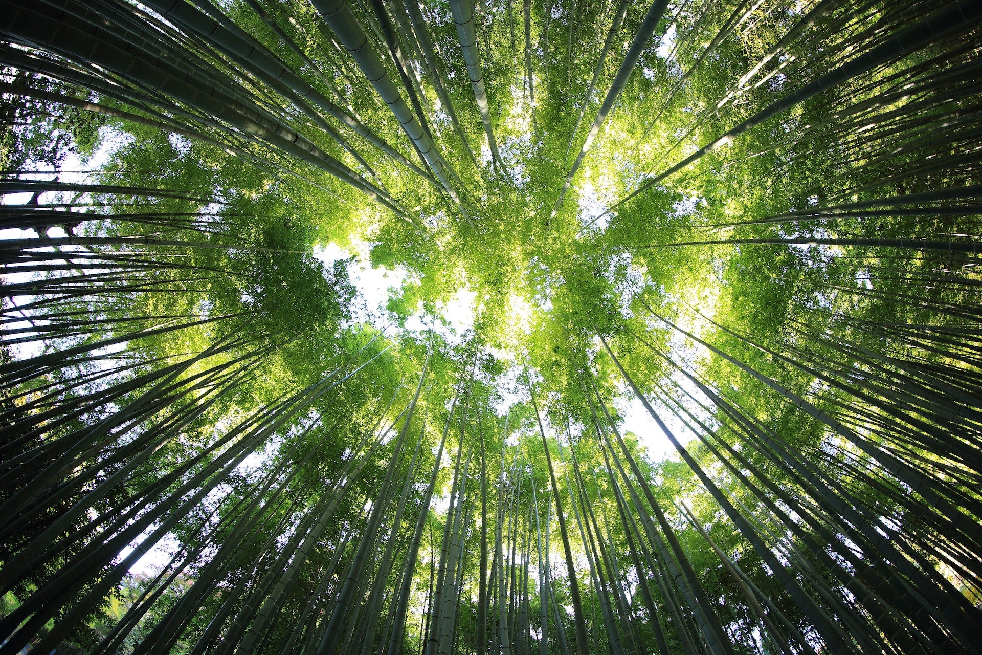kazuend-19SC2oaVZW0-unsplash.jpg